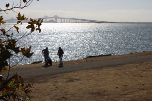 Coastal Cleanup