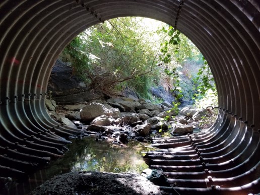 rotary manor culvert