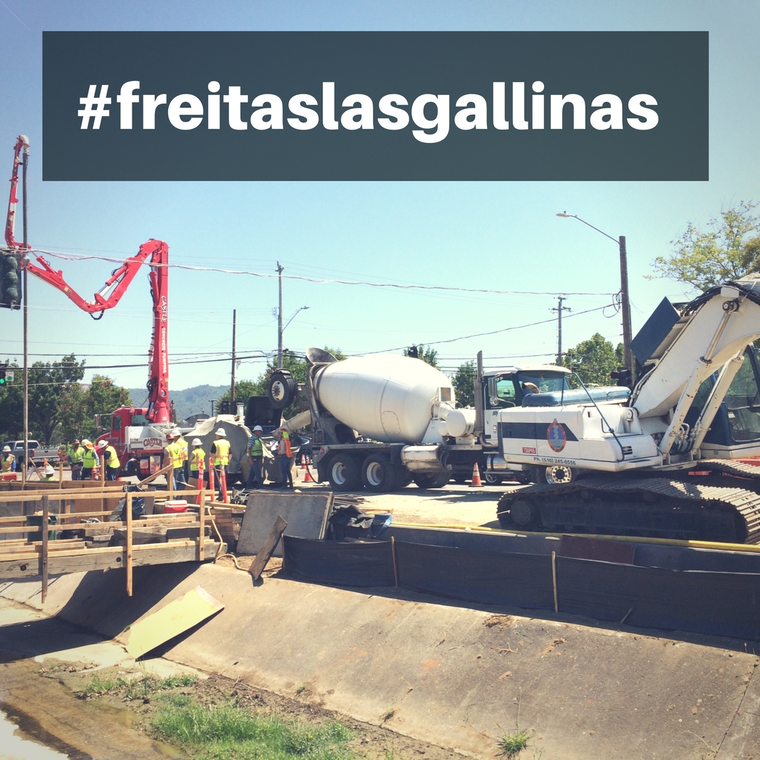 #freitaslasgallinas 08-08-17