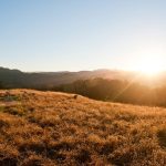 Mt Tamalpais