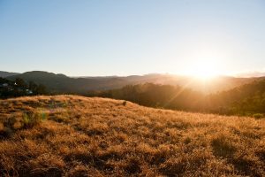 Mt Tamalpais