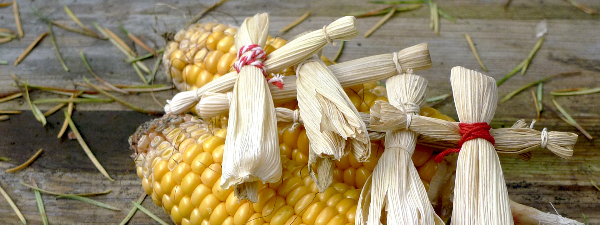 corn husk dolls on top of corn