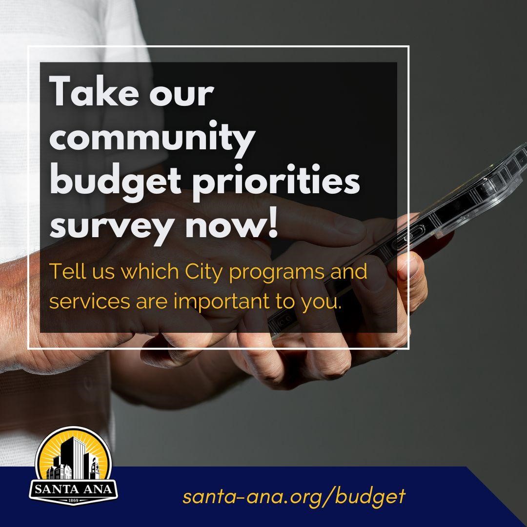 Budget survey