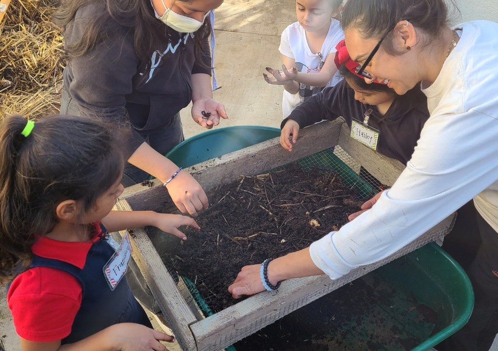 Community garden compost workshops