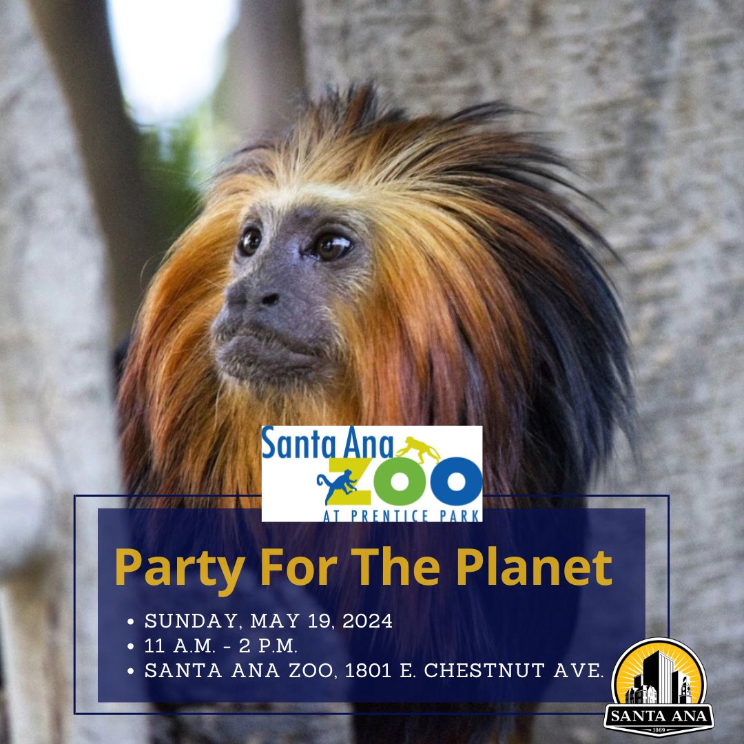 Party for the planet