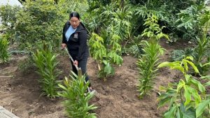 Councilmember Lopez Digging Plants at the Zoo