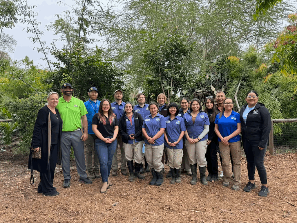 Earth day tree planting