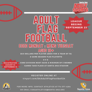 1 / 1 – Adult Flag Football - Fall 24 FV.png 