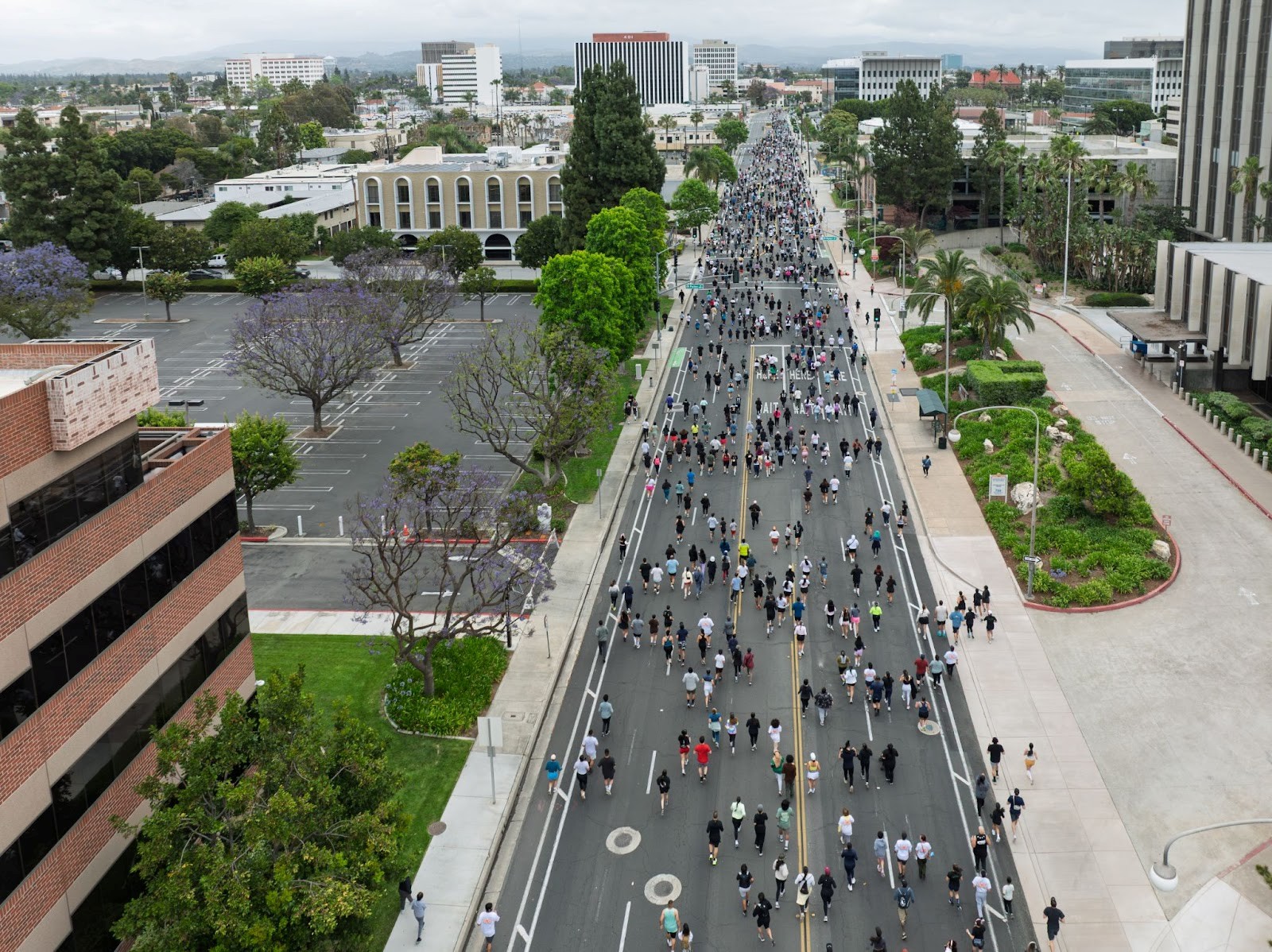 An aerial view of hundreds of people running in a street.