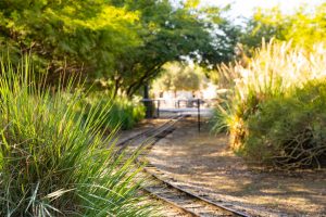 Railroad Tracks