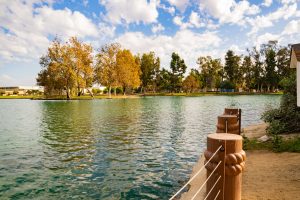 A photograph of Thornton Park's human-made lake