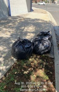 Community Clean-Up (2)