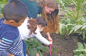 community gardens