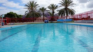 salgado pool