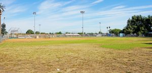 Ball diamond at Jerome Park