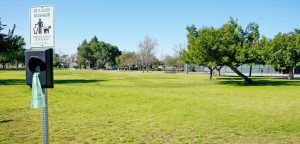 Cabrillo park open area