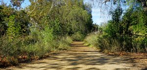 DG walkway at santiago park