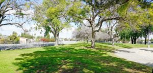 Grass area at Heritage Park