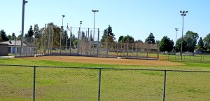 ball diamond at Thornton Park