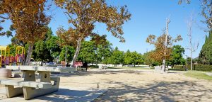 bench at bomo koral park