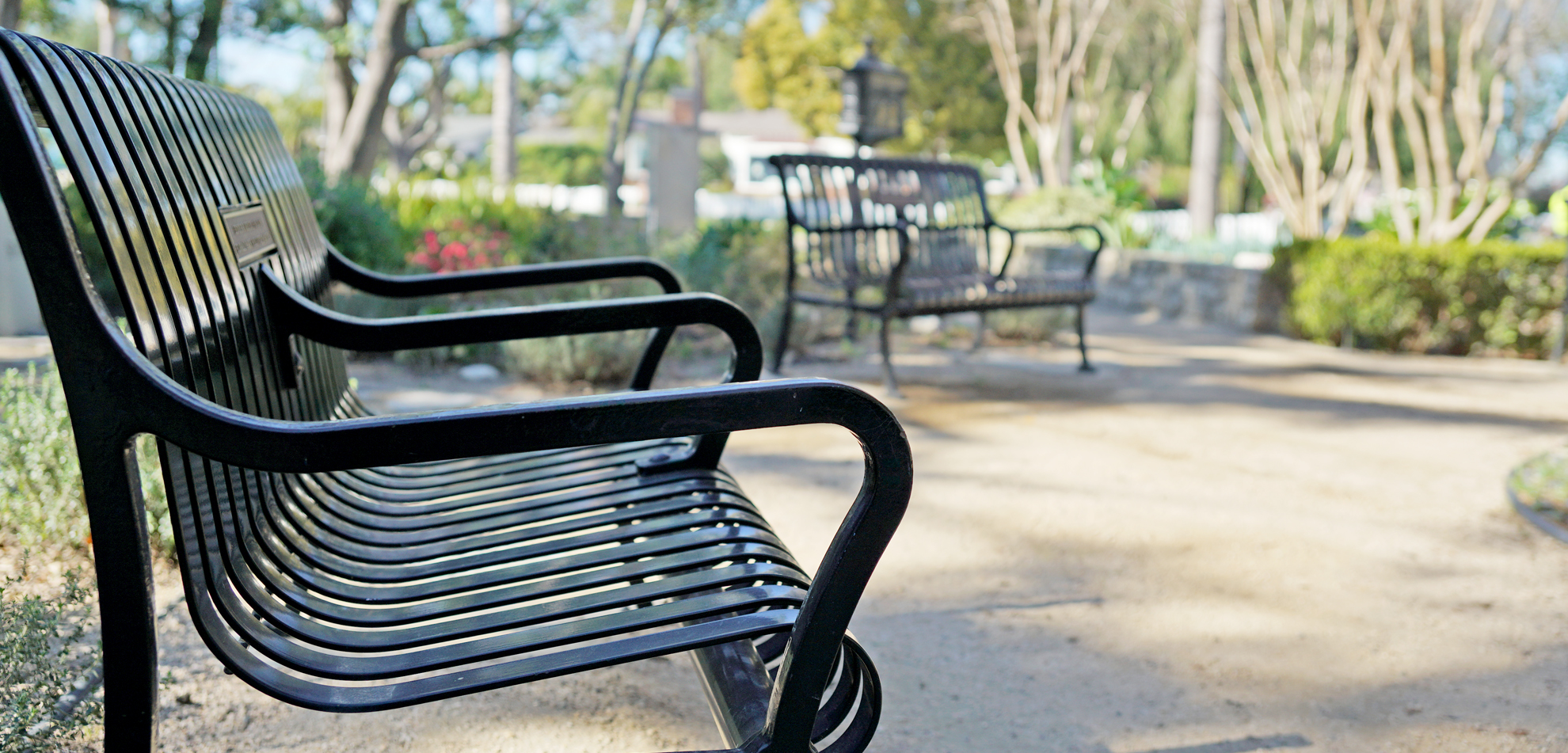 bench at the Sarah May Downie Herb Garden