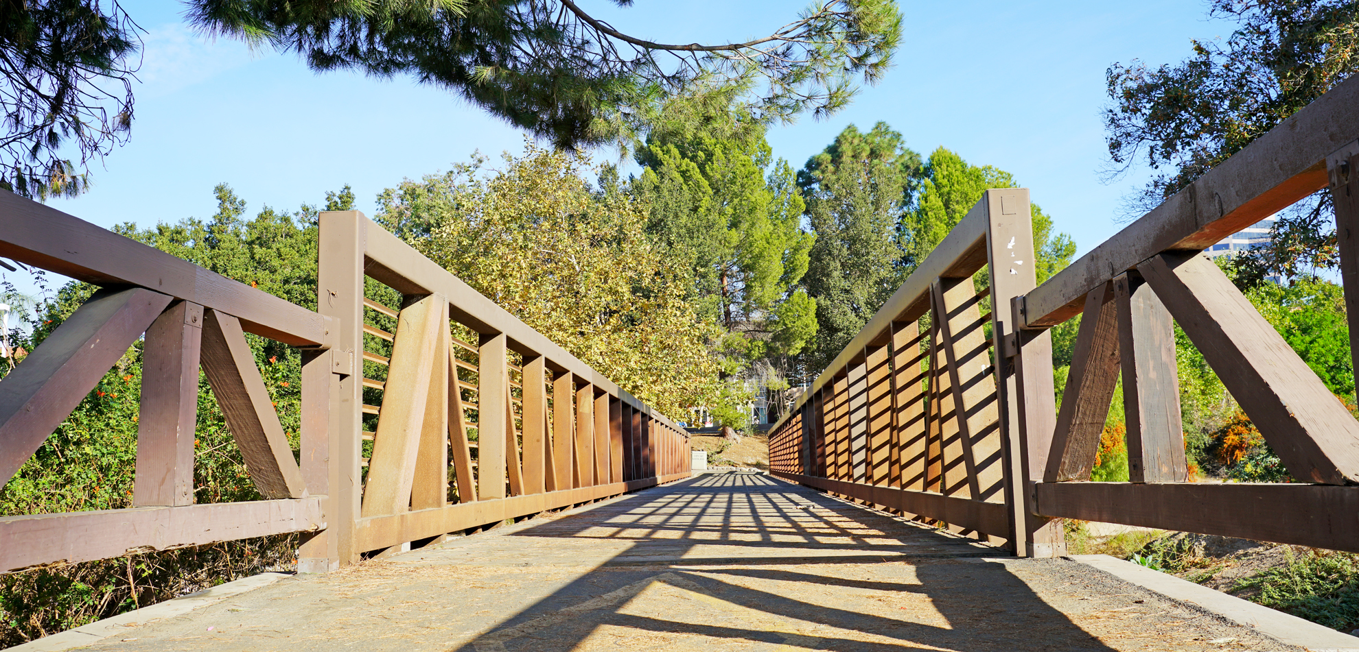 bridge at Santiago park