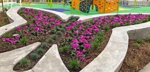 butterfly structure at Mariposa park