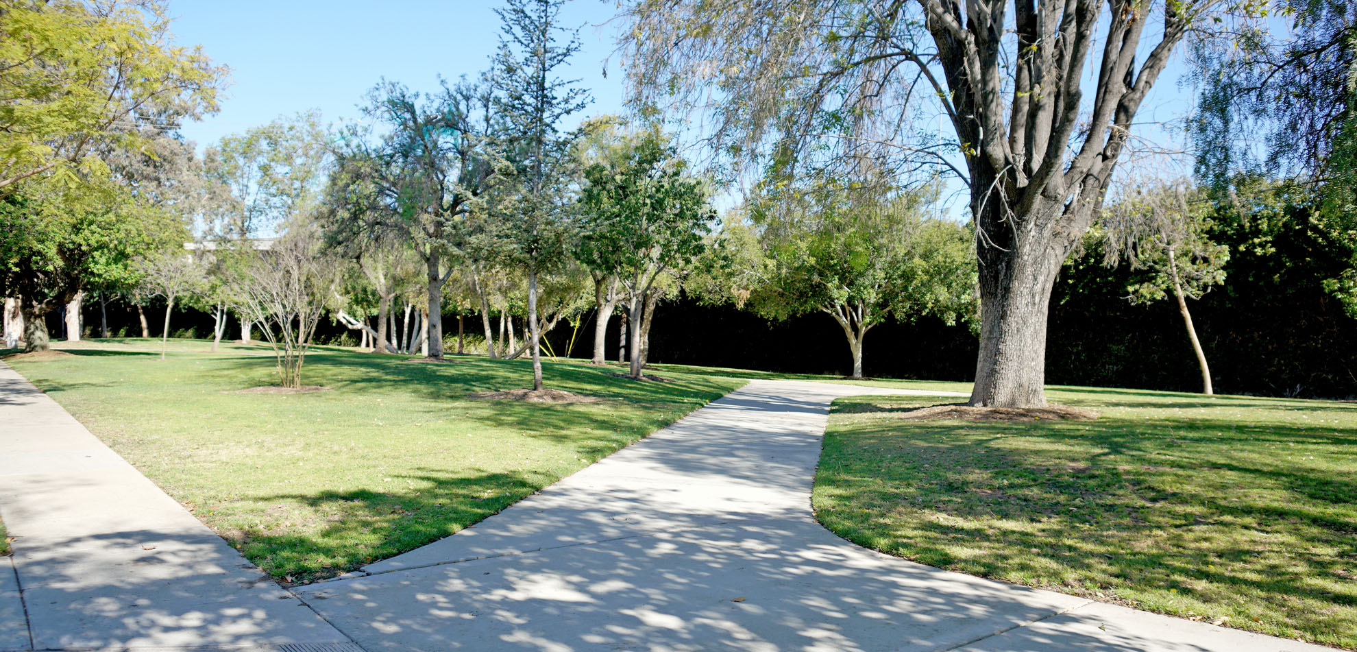 concrete walkway and grass at Eldridge Park