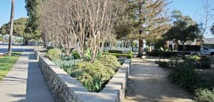 dg walkway at Sarah May Downie Herb Garden