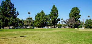 grass area at Mabury Park