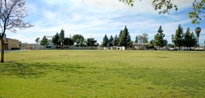 grass area at Delhi park