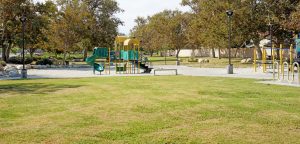 grass area at Edna park