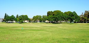 open area at Lillie King Park