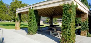 picnic shelter at Mabury Park