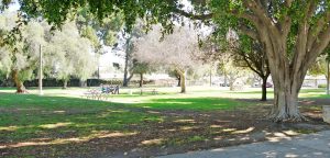 picnic tables at Windsor Park