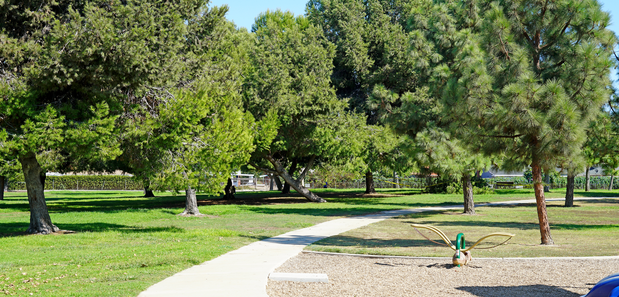 walkways at Thornton Park