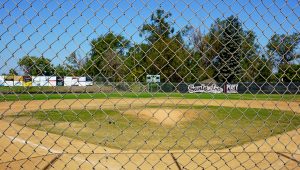 ball diamond front view at Riverview park