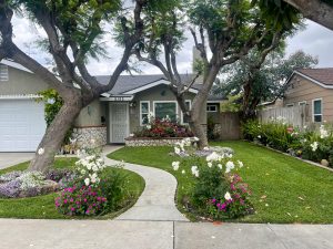 Most Beautiful Yard Winner 2022 Delhi Neighborhood