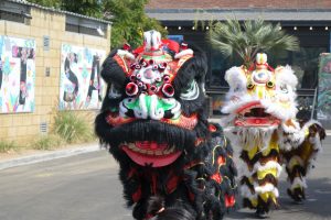 Traditional Chinese Lion Dance Costumes