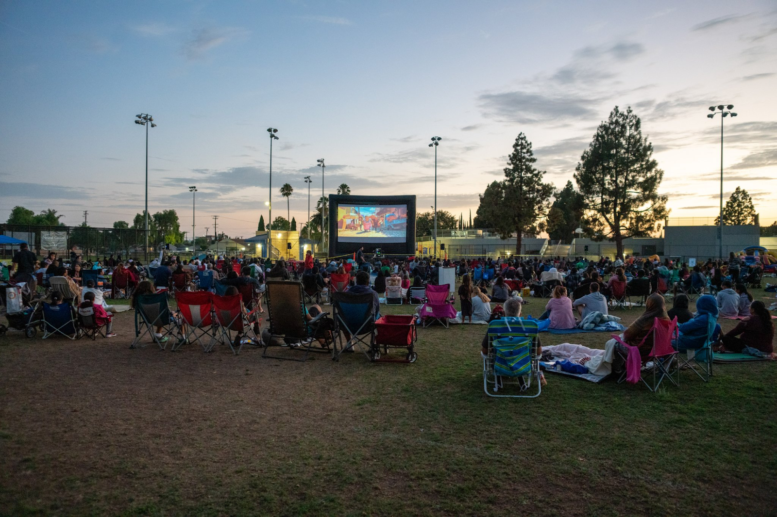 Movie in the Park