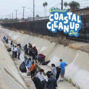 Coastal Clean Up