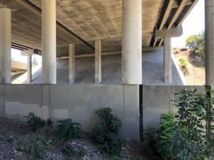 Santiago Creek Trail after clean-up