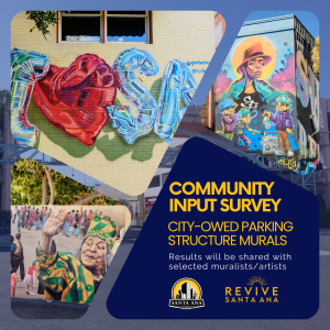 Community Input Survey Graphic