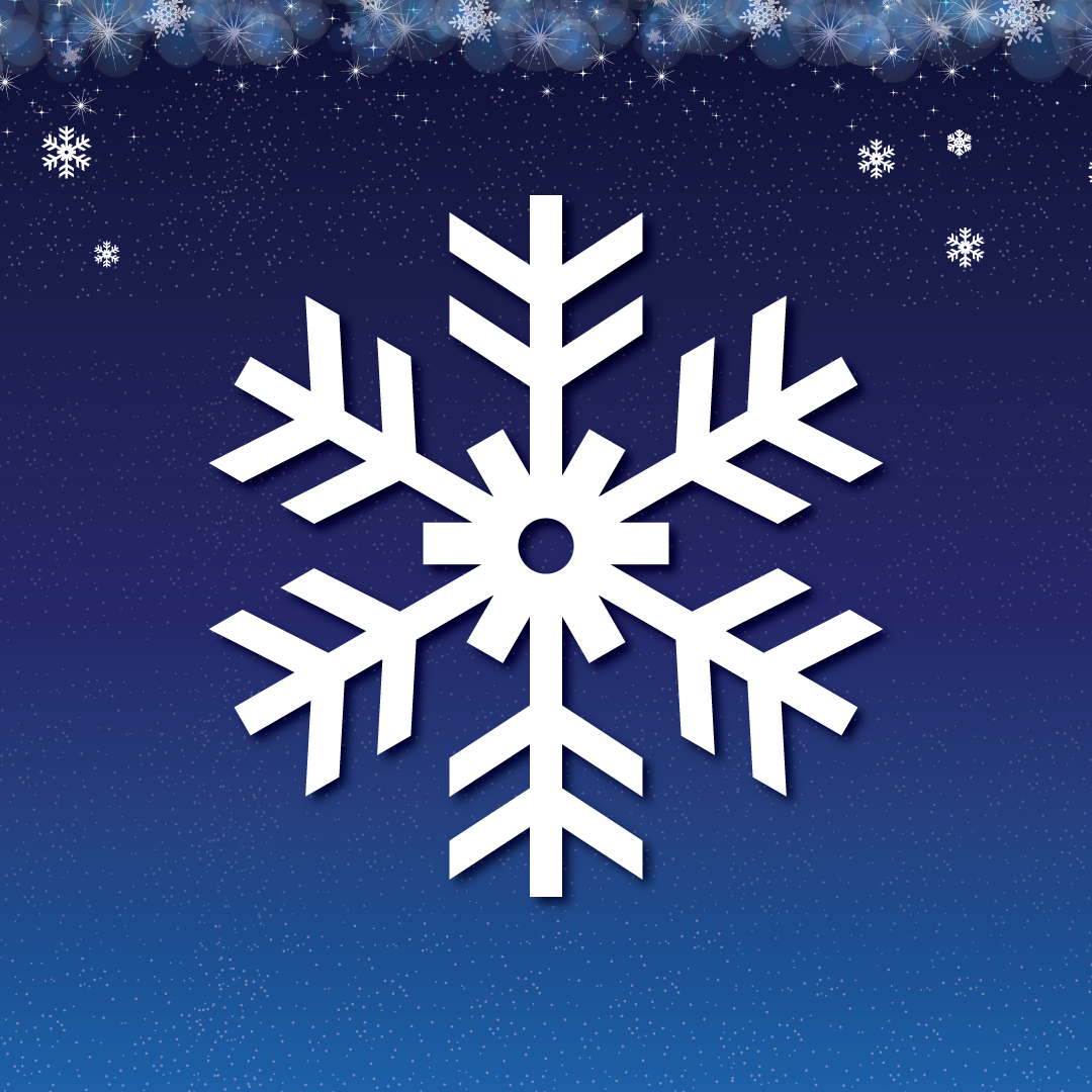 Winter Village non-profit night snowflake