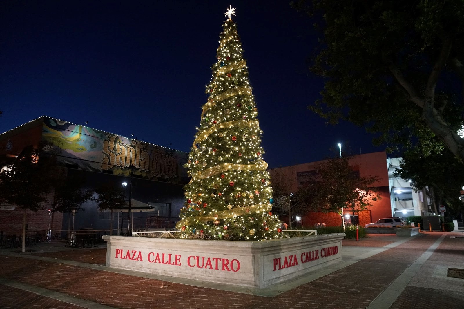 Christmas tree on 4th St