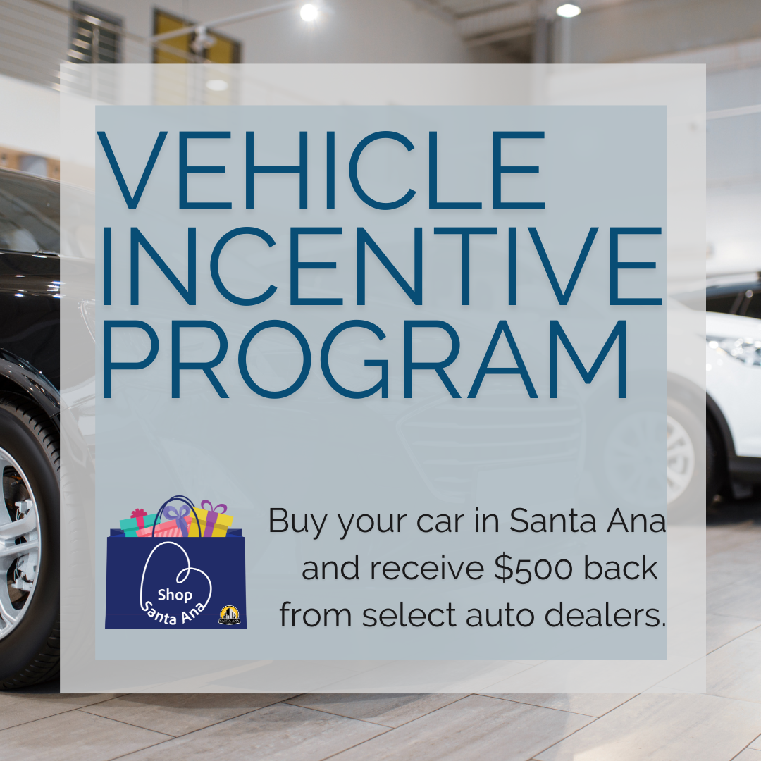 Vehicle Incentive Program
