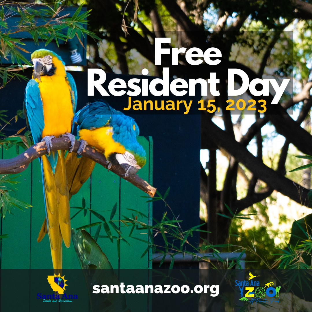Resident Free Day SA Zoo Graphic