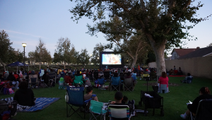 movies in the park image