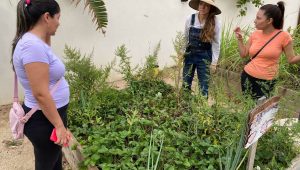 Staff teaching at community garden