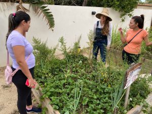 Staff teaching at community garden